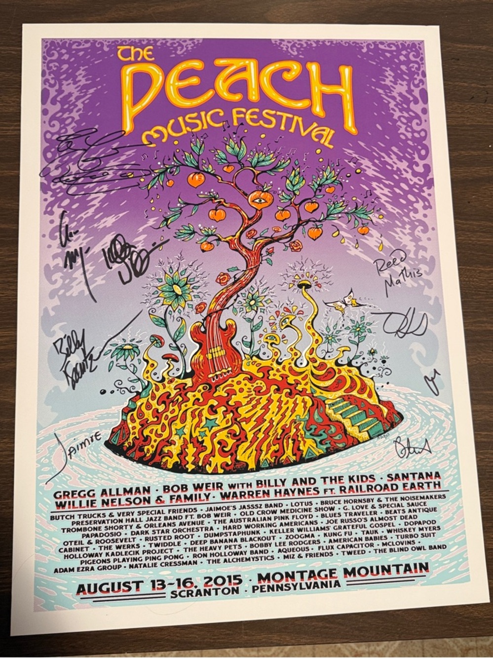 The Peach Music Festival Poster - Signed - August 2015
